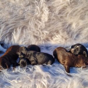 WhatsApp Image 2026-01-14 at 10.31.31