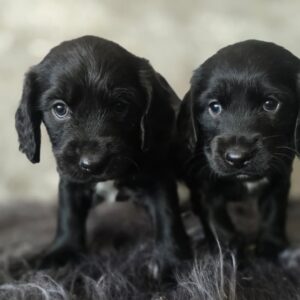 WhatsApp Image 2026-02-26 at 09.13.12 (1)