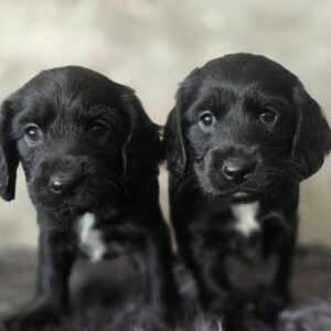 WhatsApp Image 2026-02-26 at 09.13.12 (2)