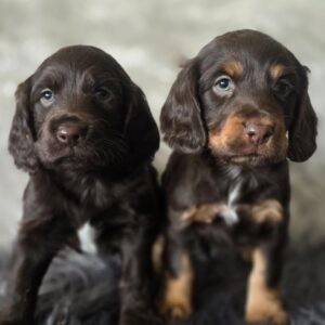 WhatsApp Image 2026-02-26 at 09.13.12