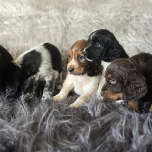 WhatsApp Image 2026-02-26 at 09.13.12 (6)