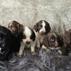 WhatsApp Image 2026-02-26 at 09.13.23 (2)