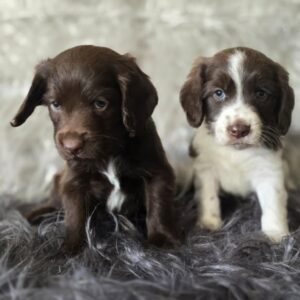 WhatsApp Image 2026-02-26 at 09.13.23 (4)