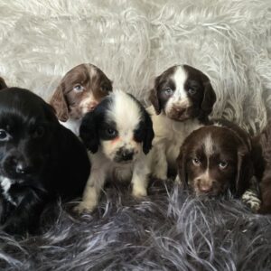 WhatsApp Image 2026-02-26 at 09.13.23 (5)