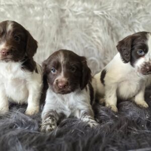 WhatsApp Image 2026-02-26 at 09.13.24 (1)