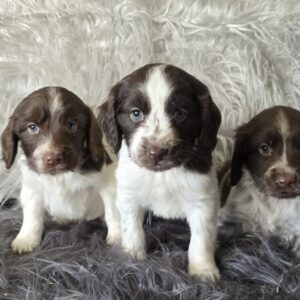 WhatsApp Image 2026-02-26 at 09.13.24 (2)