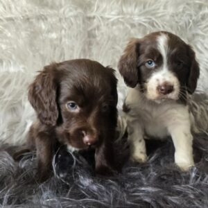 WhatsApp Image 2026-02-26 at 09.13.24