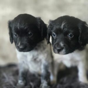 WhatsApp Image 2026-02-26 at 09.13.36 (2)