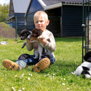 Puppy's Soof -12.jpg