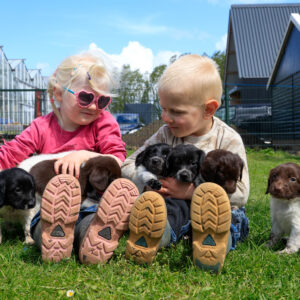 Puppy's Soof -13.jpg