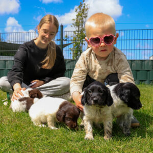 Puppy's Soof -6.jpg